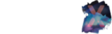 تصميم و تطوير اكس ديزاين